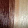 Color Chart